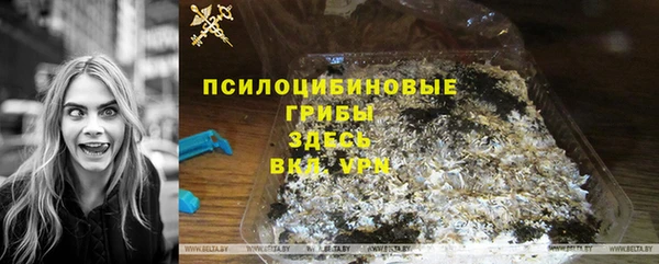 соль ск Алексеевка
