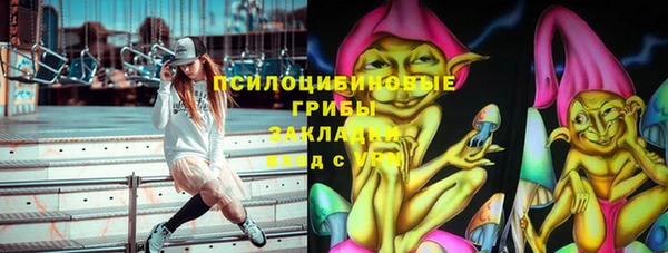 прущий лед Алексин